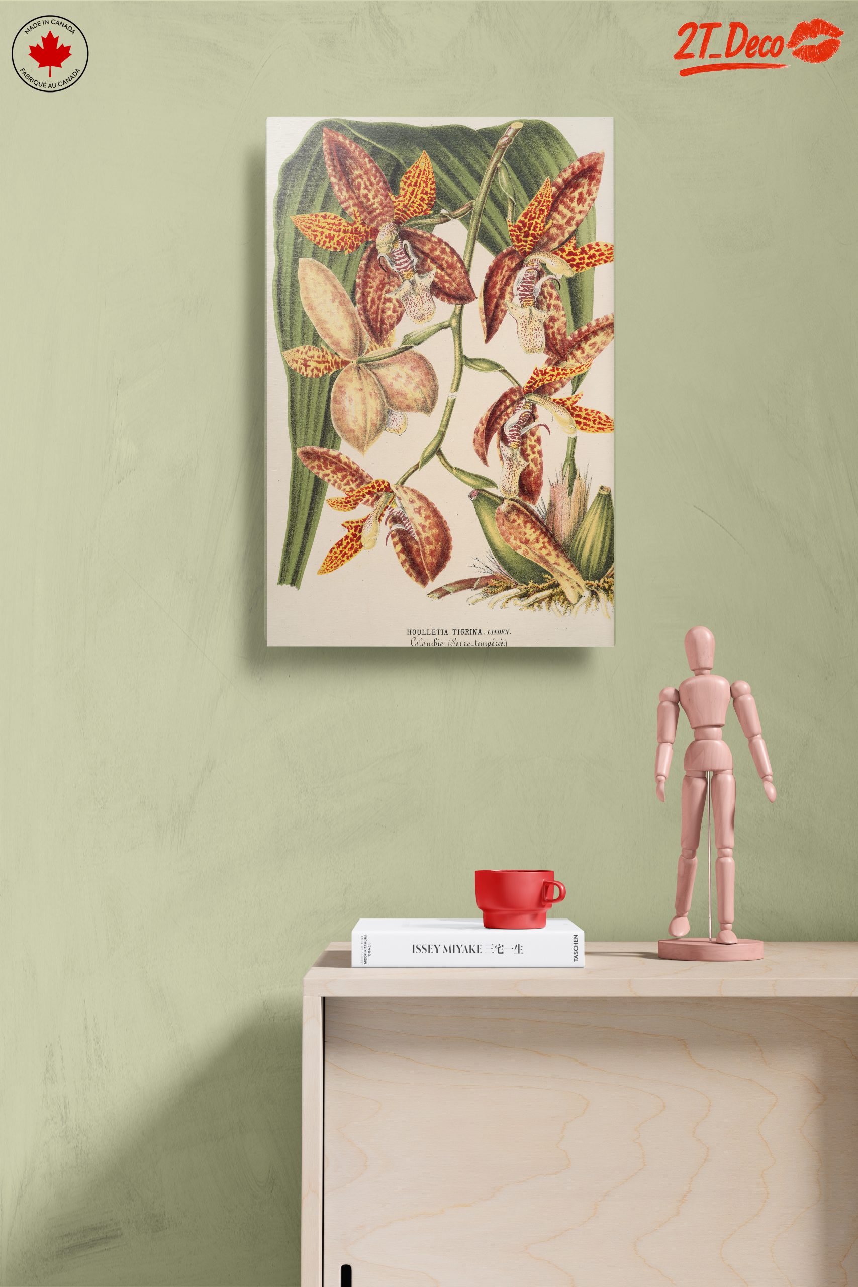Detailed Botanical Illustration of Orchids - Image 14