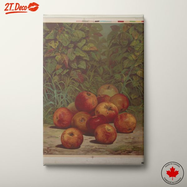 Abstract Composition of Red Apples