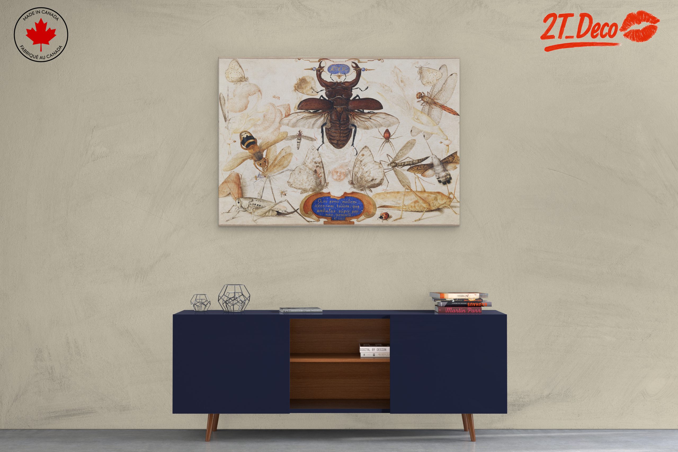 Insect Naturalist Art Featuring Diverse Insects - Image 3