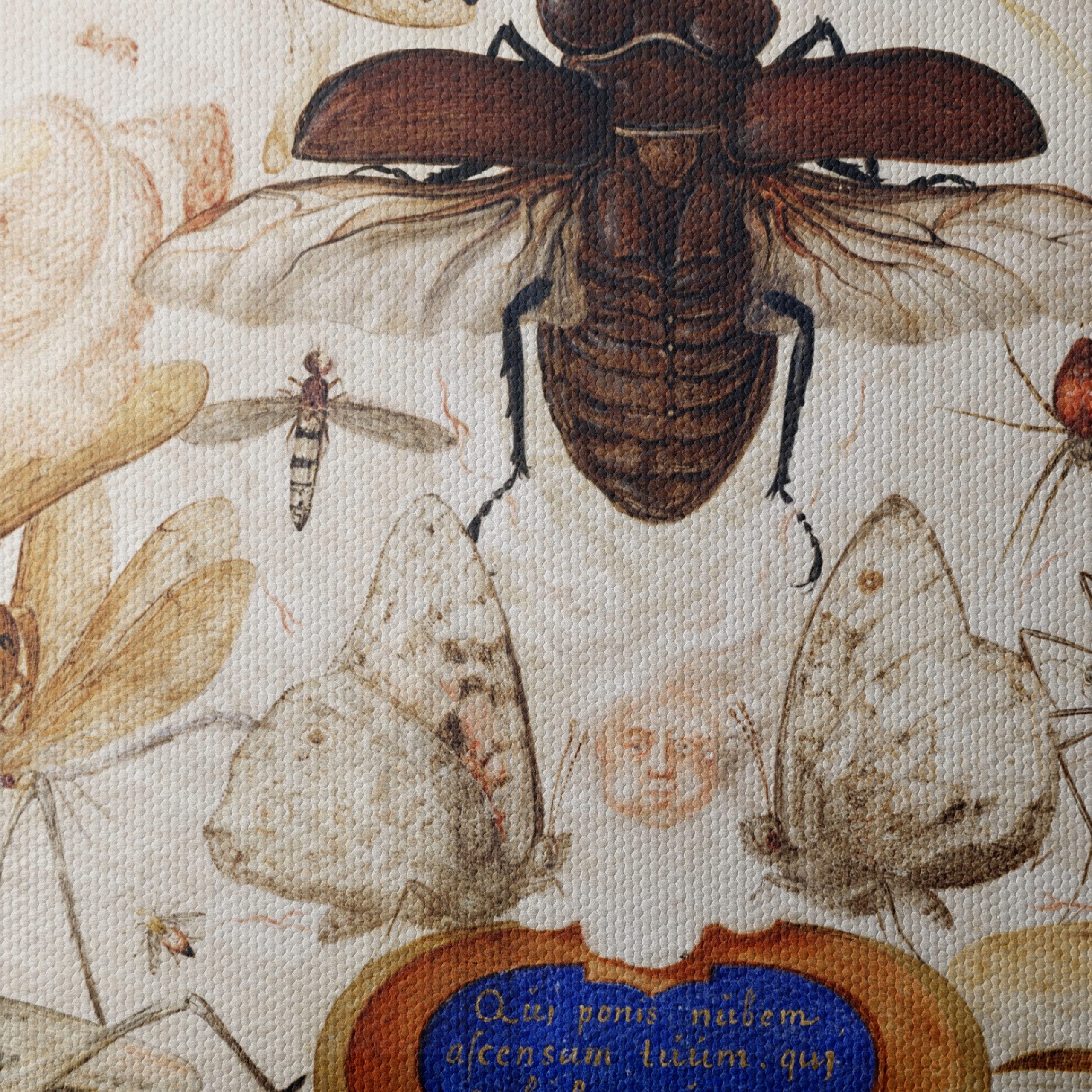 Insect Naturalist Art Featuring Diverse Insects - Image 4