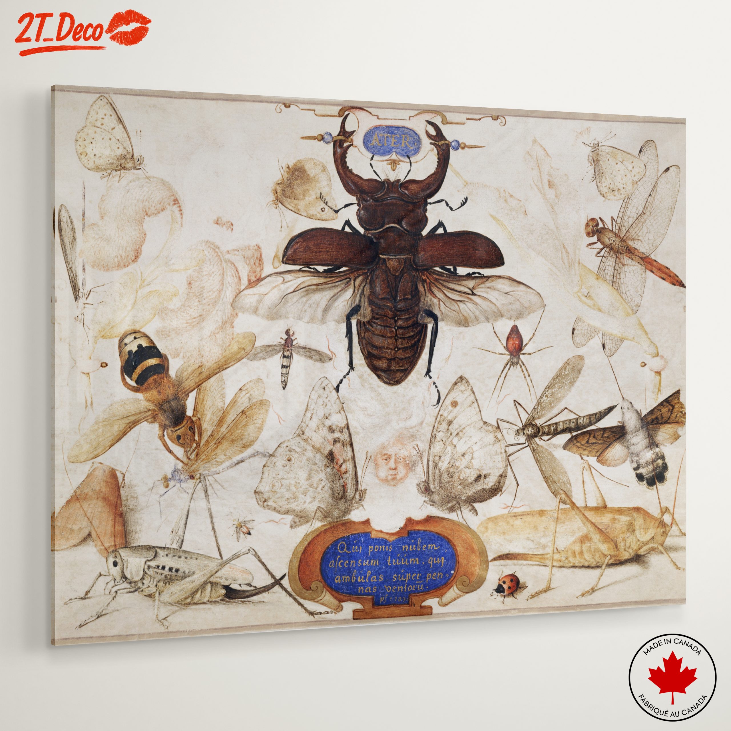 Insect Naturalist Art Featuring Diverse Insects - Image 6