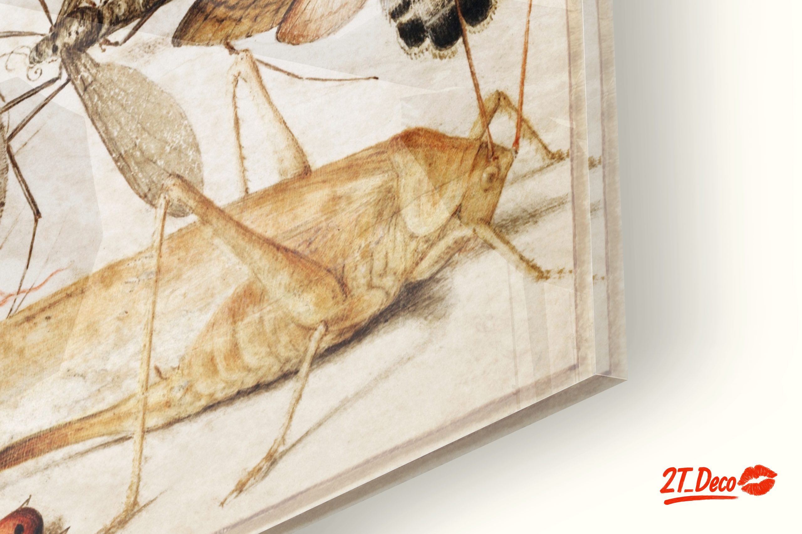 Insect Naturalist Art Featuring Diverse Insects - Image 9