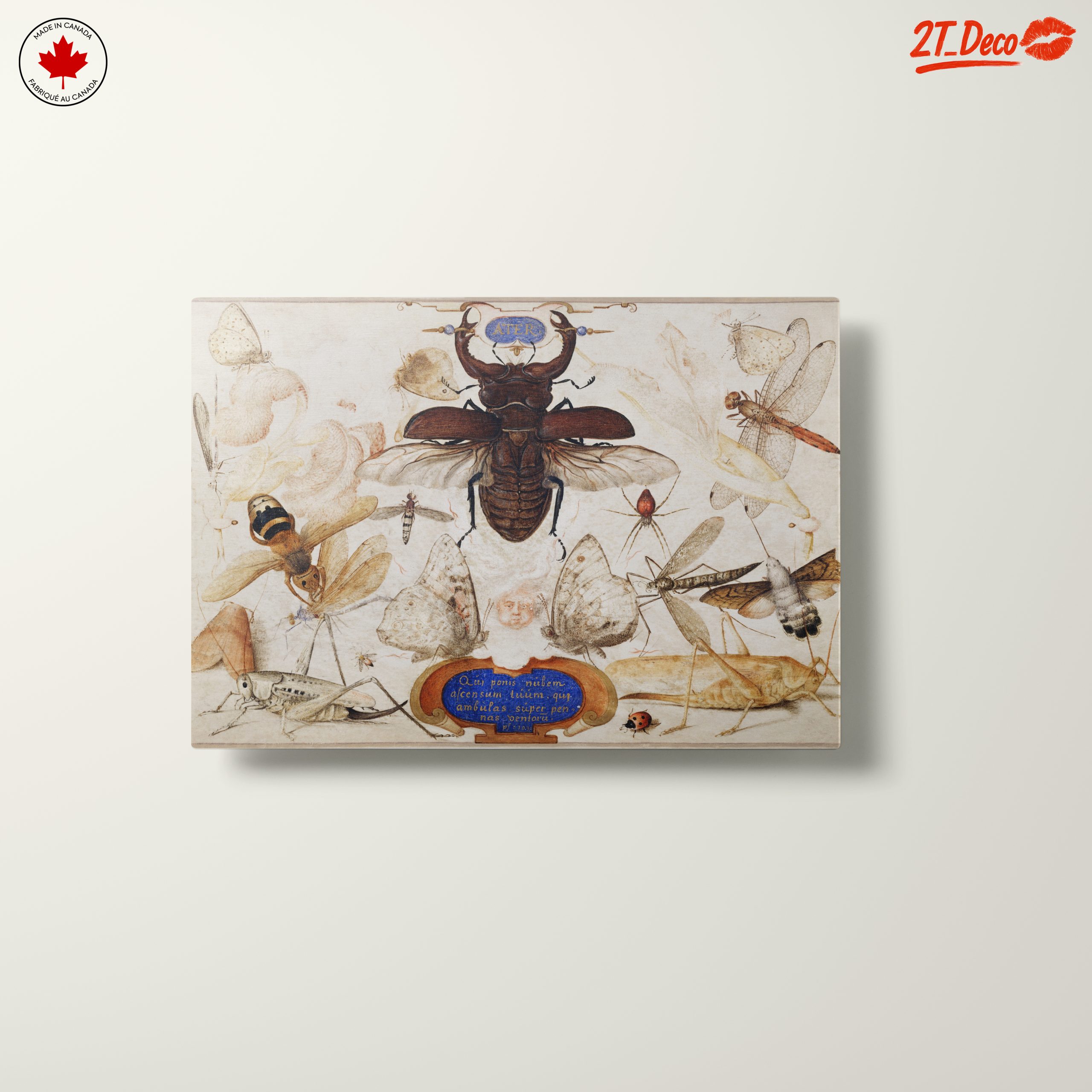 Insect Naturalist Art Featuring Diverse Insects - Image 10