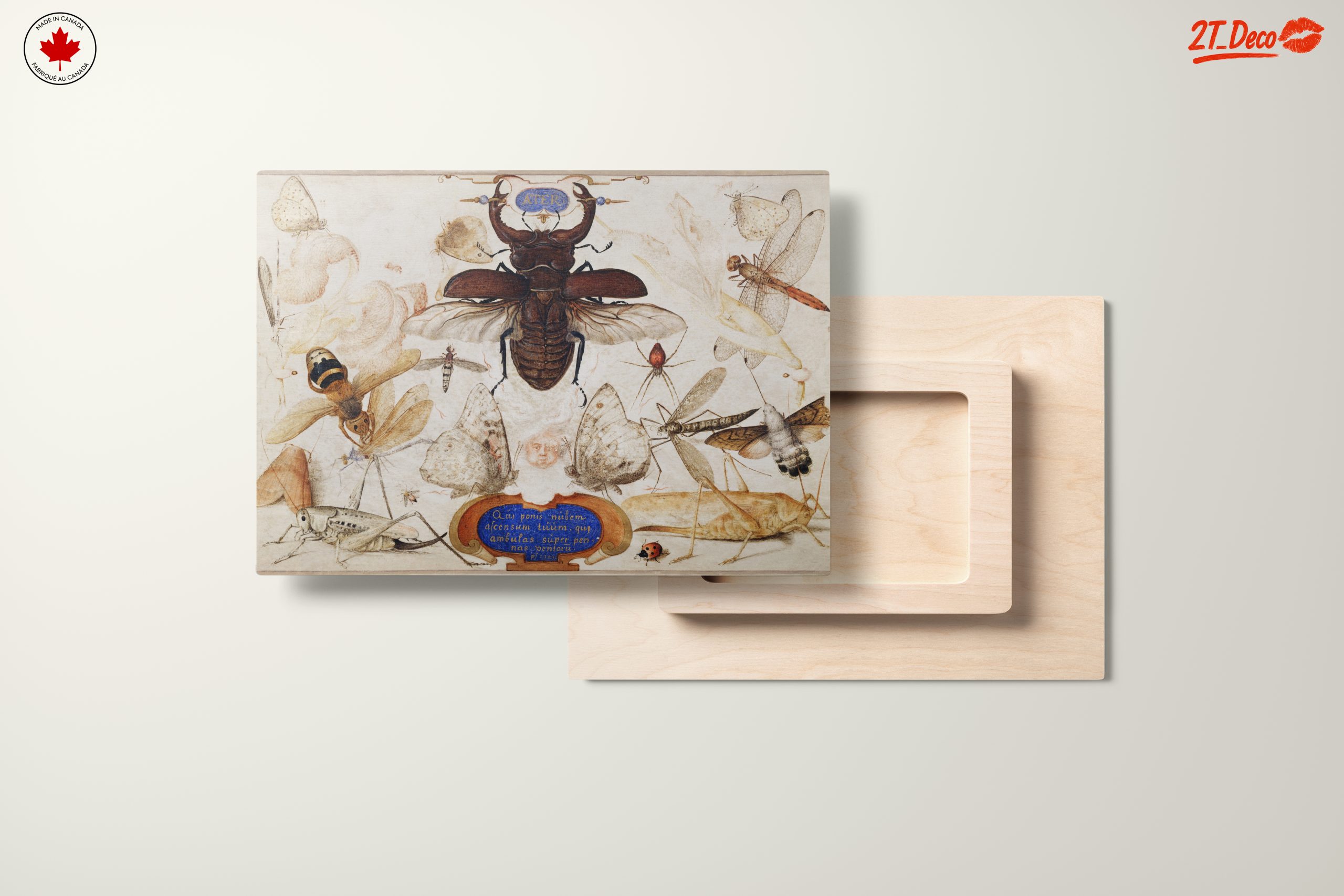 Insect Naturalist Art Featuring Diverse Insects - Image 11