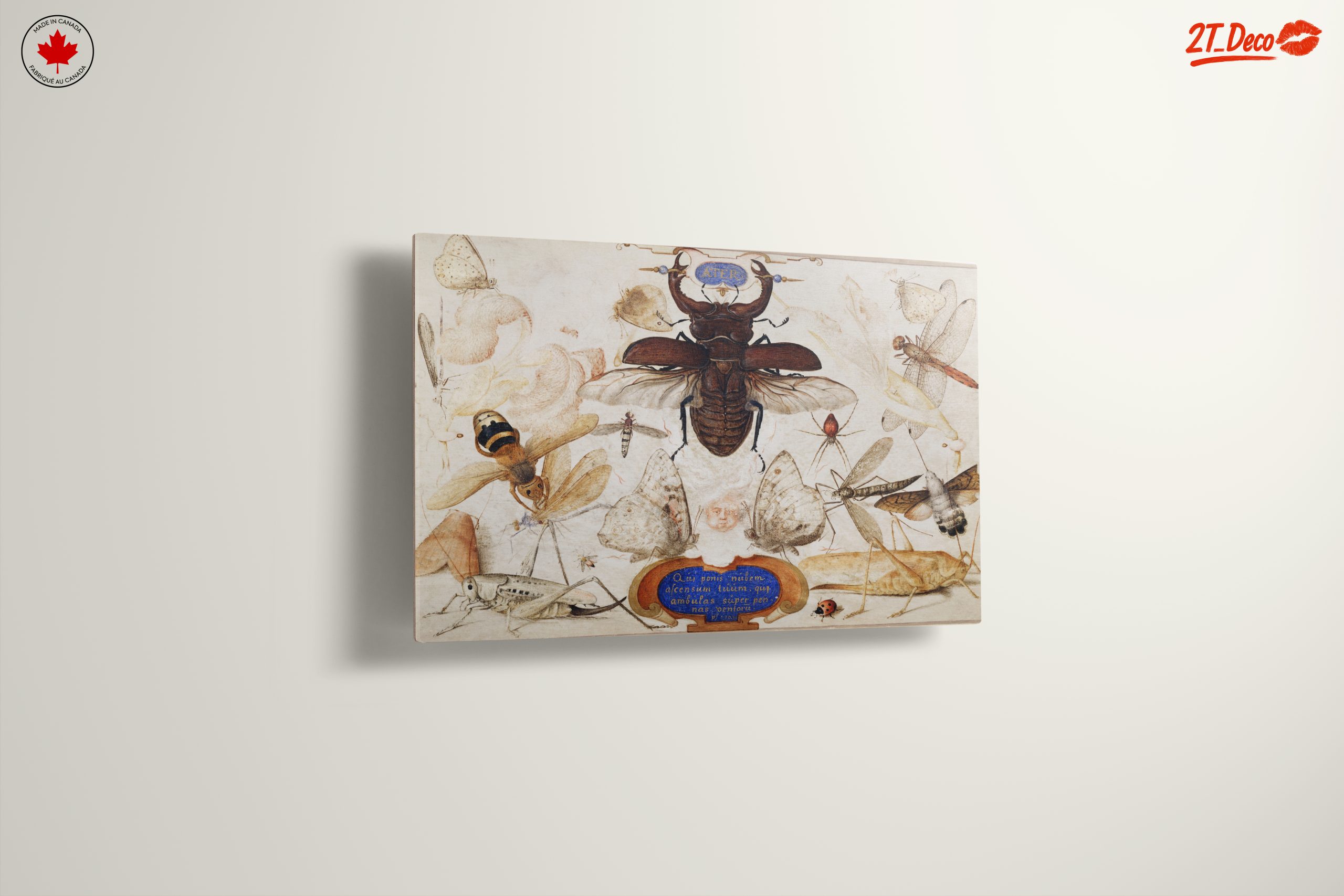 Insect Naturalist Art Featuring Diverse Insects - Image 13