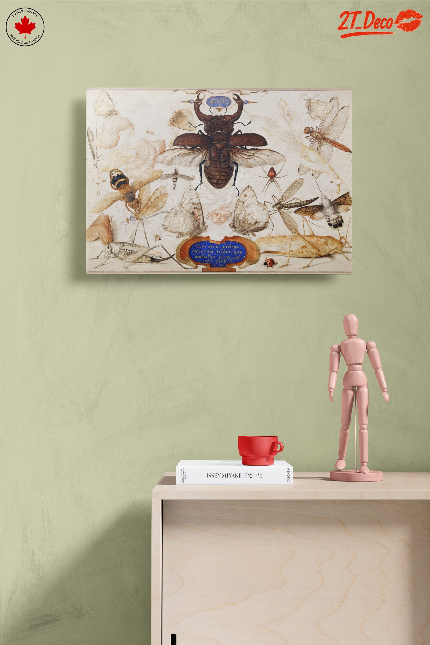 Insect Naturalist Art Featuring Diverse Insects - Image 14
