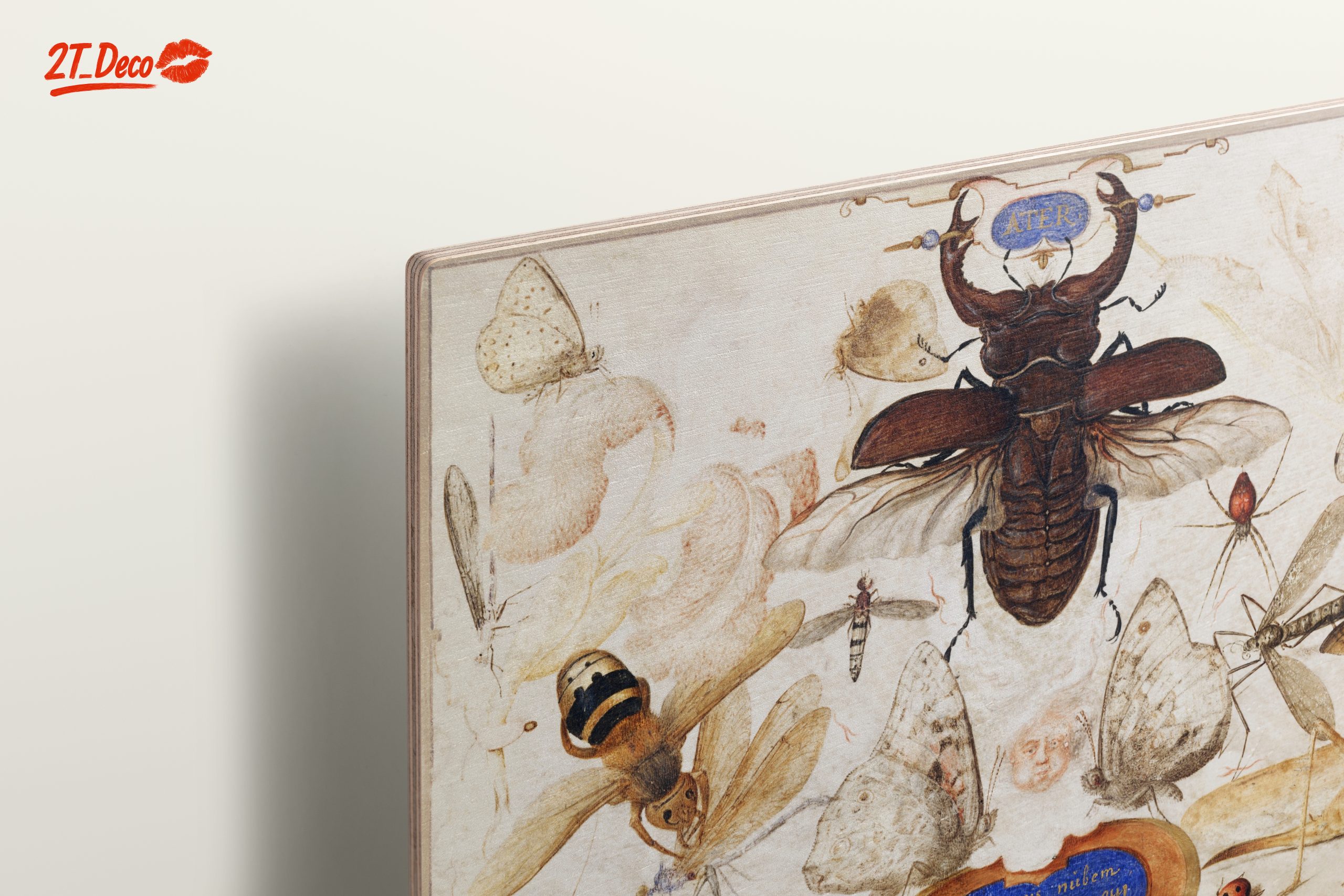 Insect Naturalist Art Featuring Diverse Insects - Image 15