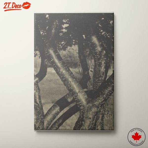 Intricate Tree Trunk Patterns in Nature Art