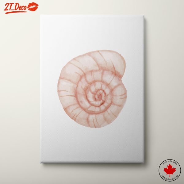 Stylized Seashell Artwork for Marine Lovers