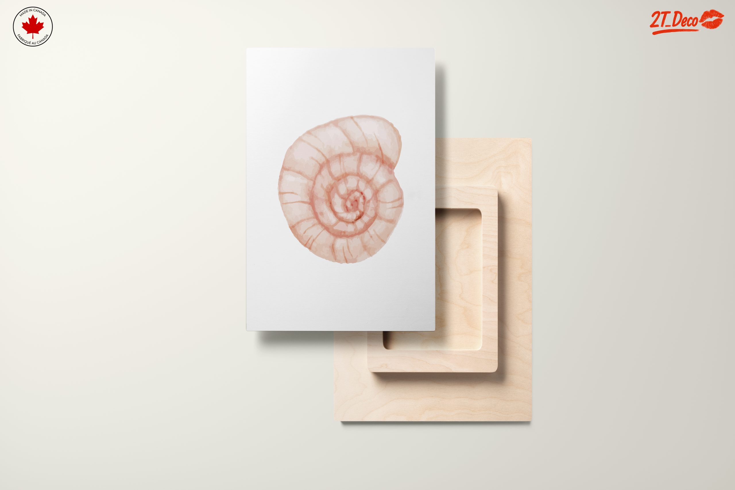 Stylized Seashell Artwork for Marine Lovers - Image 11