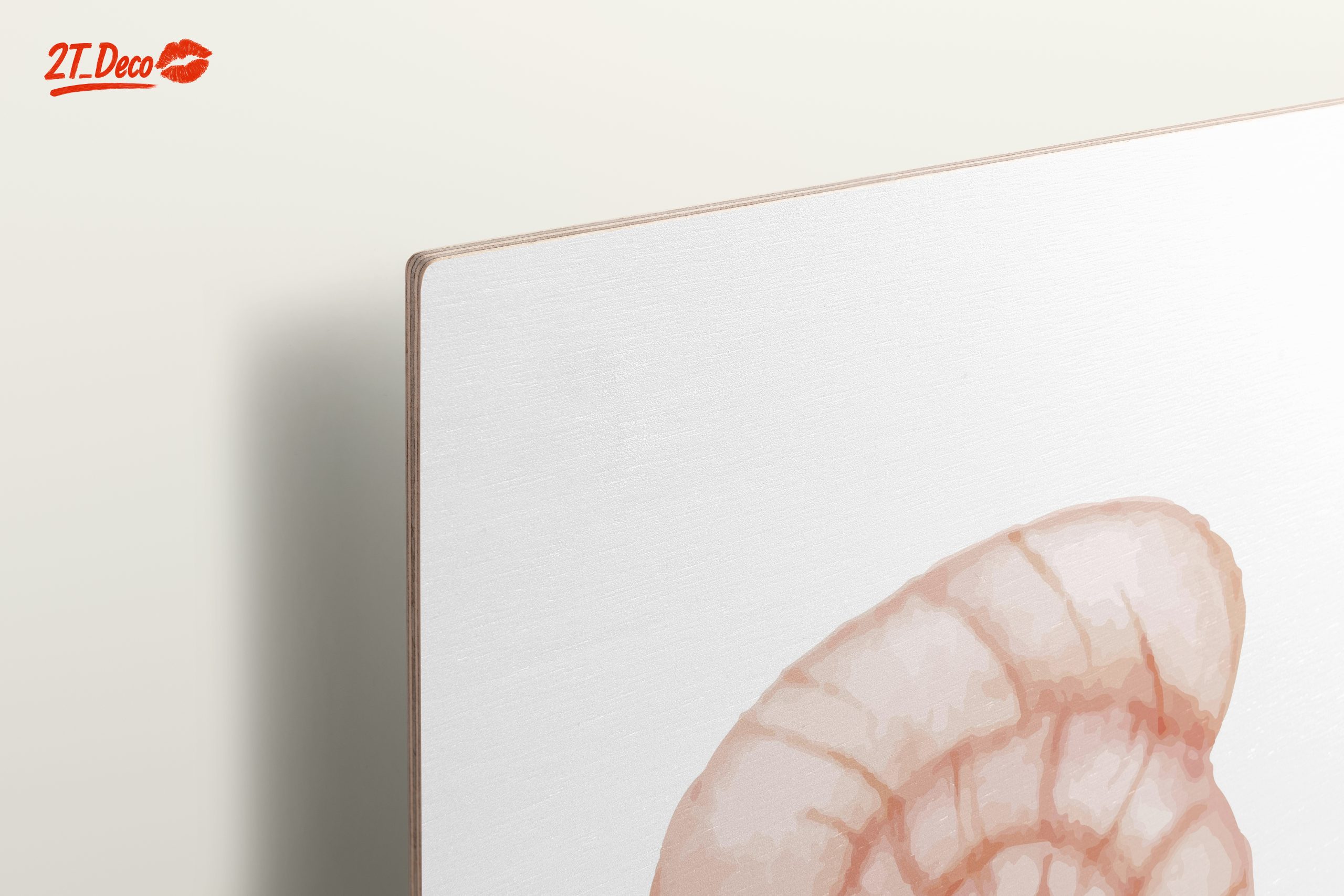 Stylized Seashell Artwork for Marine Lovers - Image 15