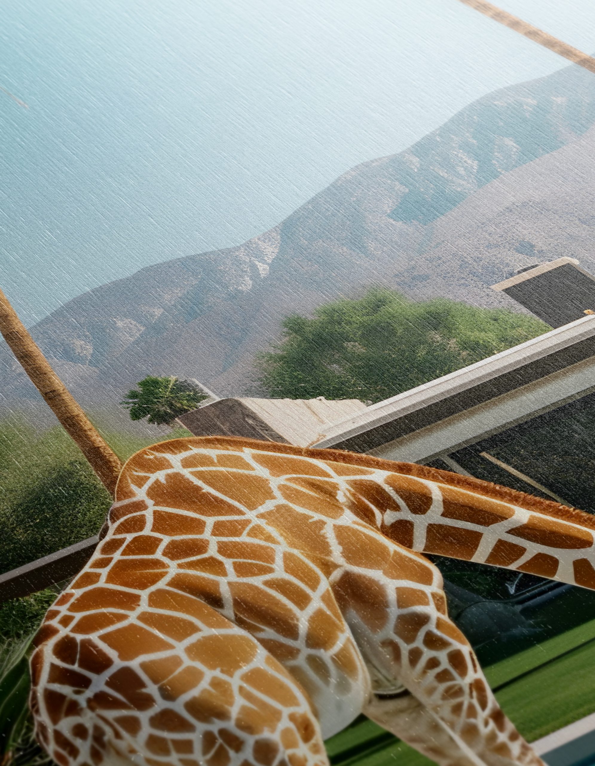Giraffe by the Poolside in Modern Landscape - Image 12