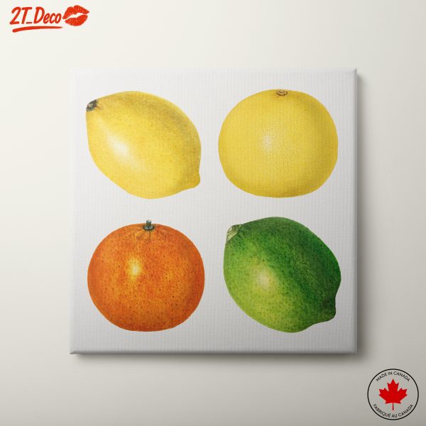 Colorful Abstract Food Art Featuring Lemons and Limes