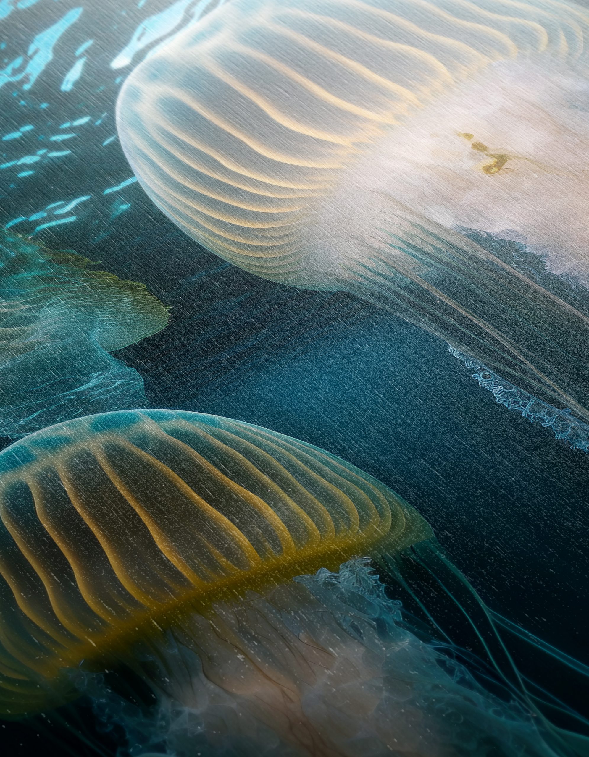 Stunning Abstract Art of Jellyfish in Ocean - Image 12