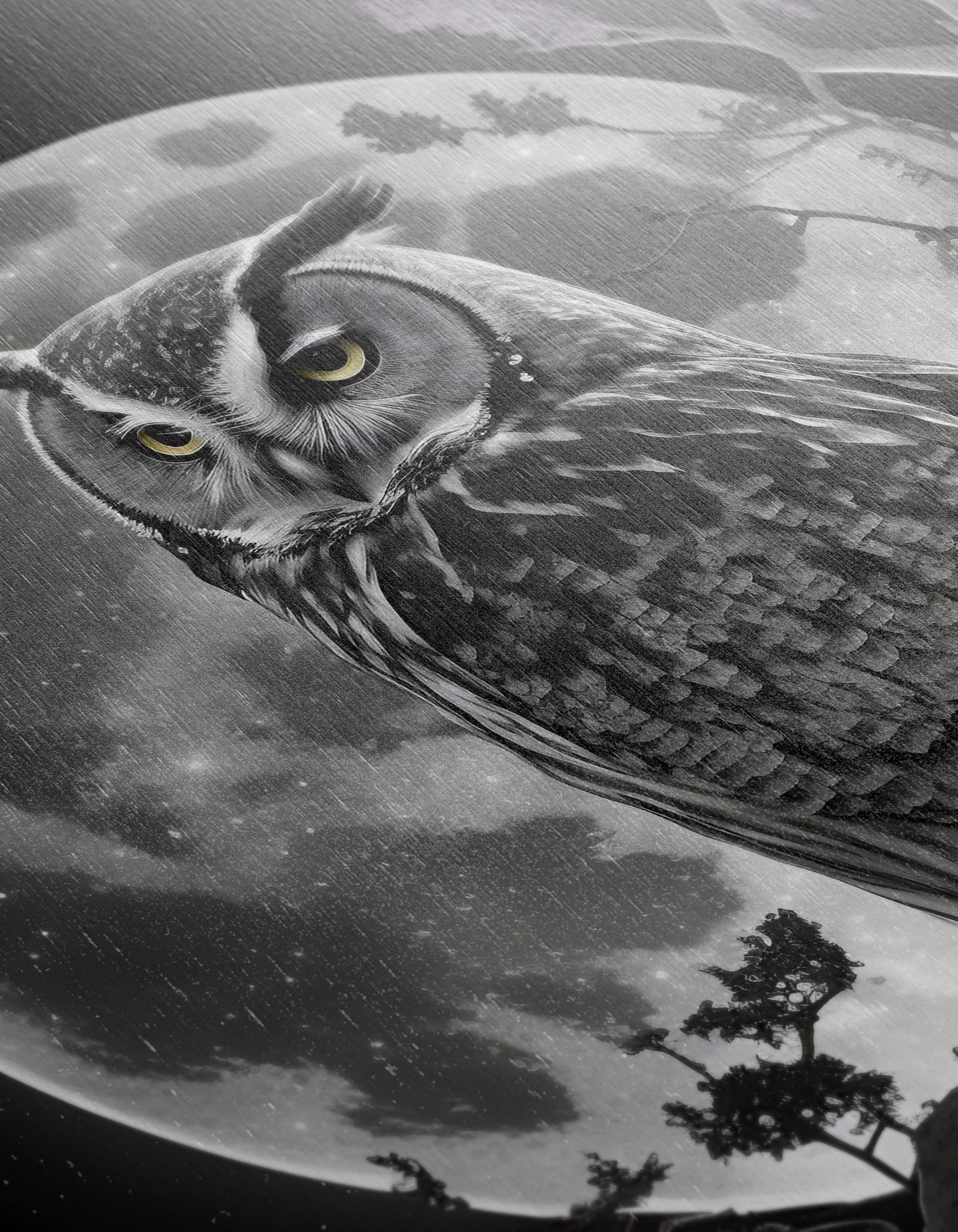 Majestic Owl Silhouette Against Full Moon - Image 12