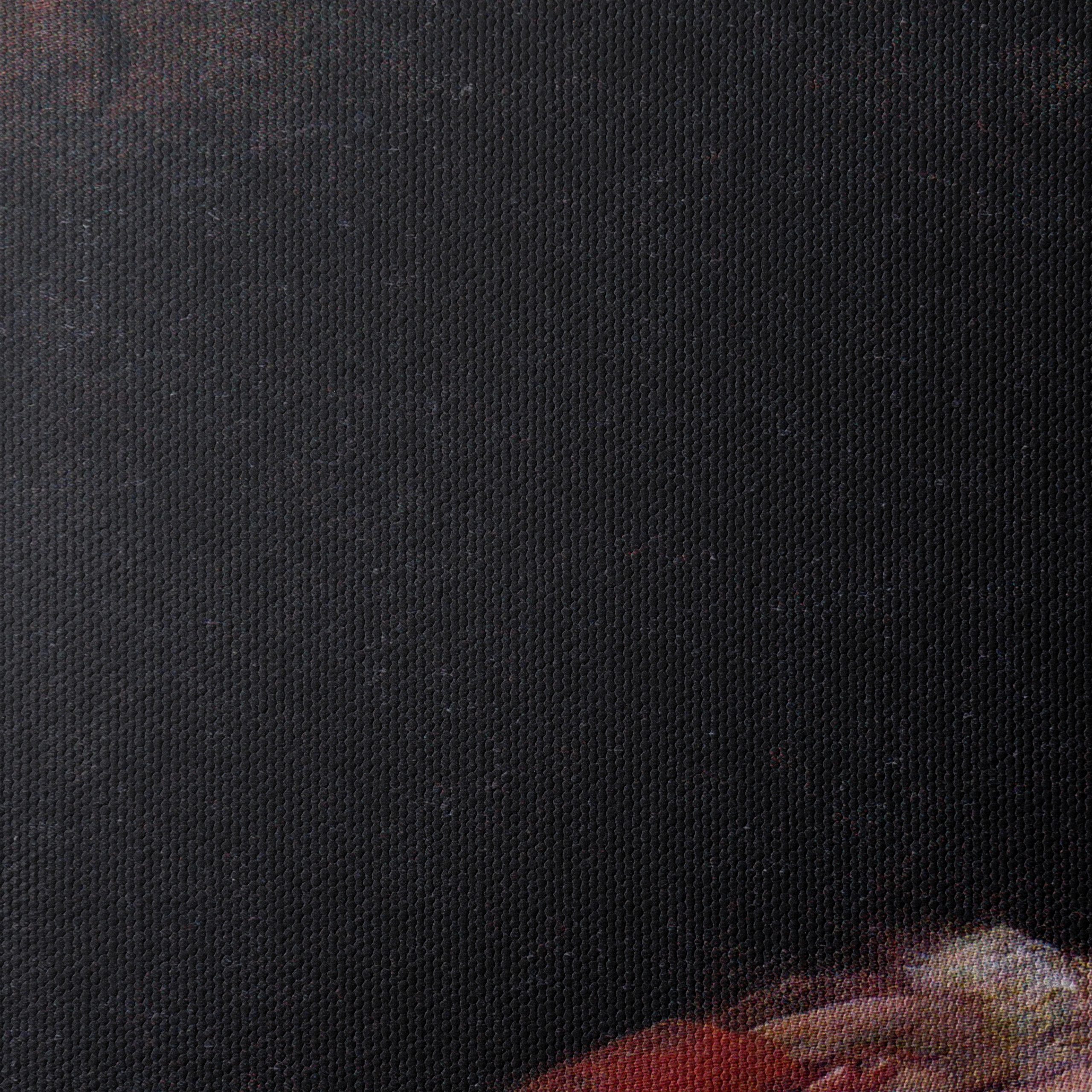 Elegant Lady in Period Dress Portrait - Image 4