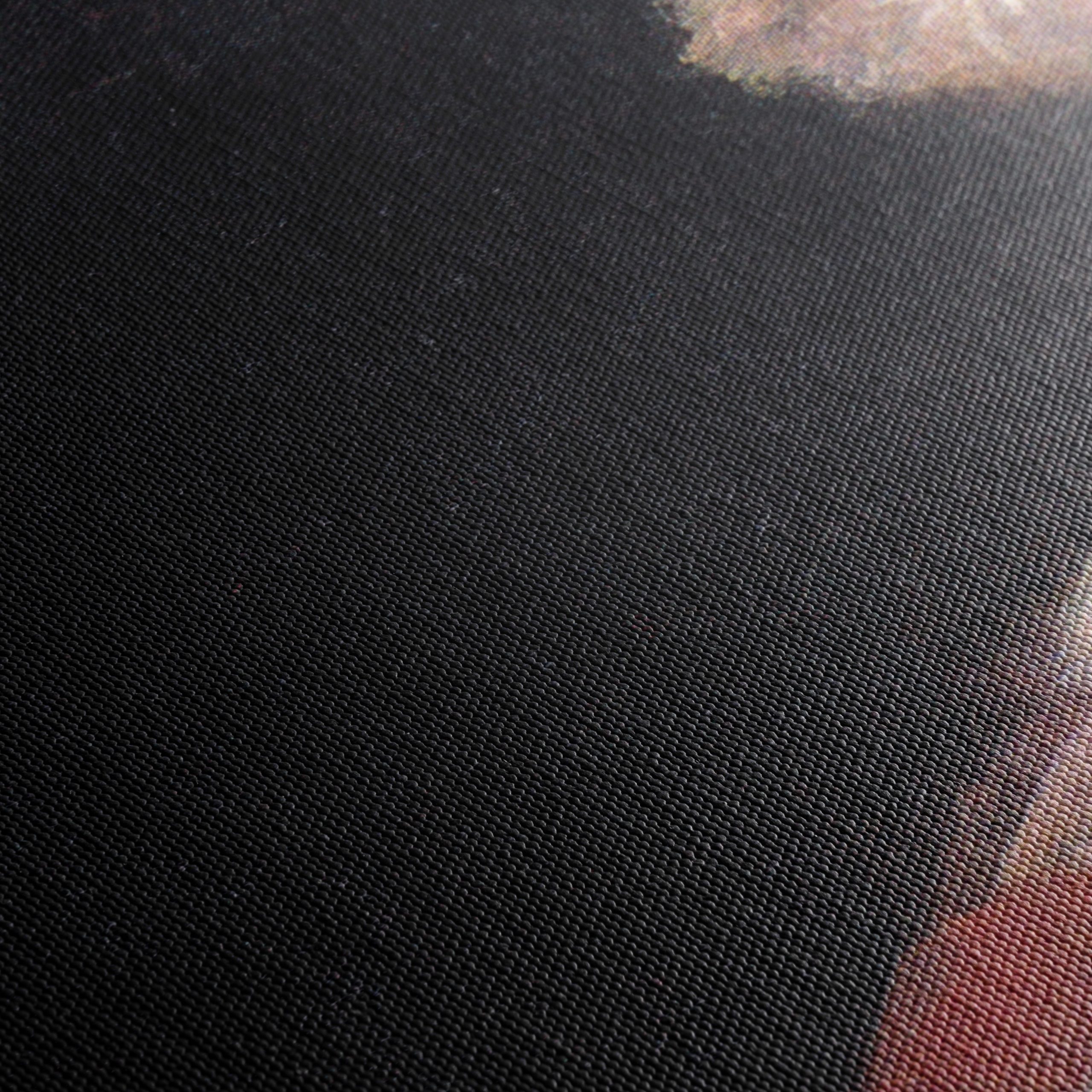 Elegant Lady in Period Dress Portrait - Image 5