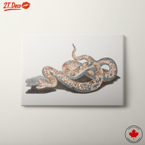 Colorful Botanical Abstract Snake Artwork
