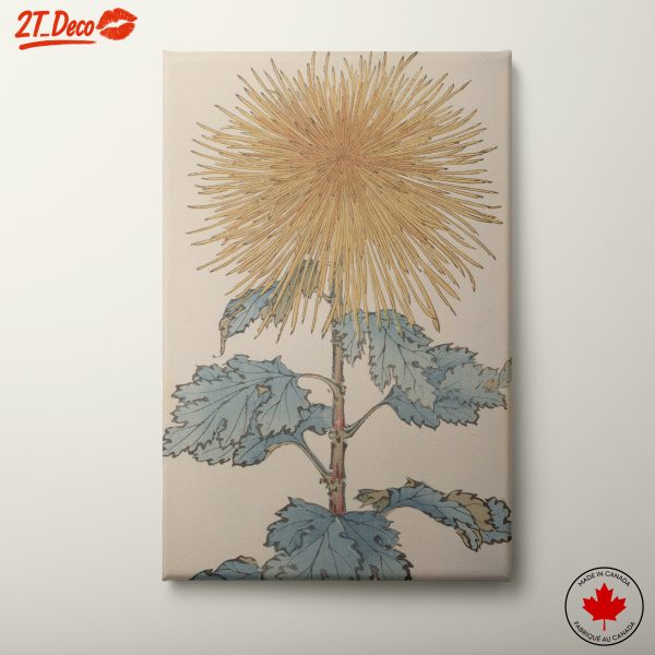 Elegant Botanical Illustration of a Flower