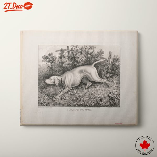 Staunch Pointer Dog Artwork