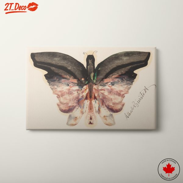 Abstract Butterfly Art with Vibrant Colors