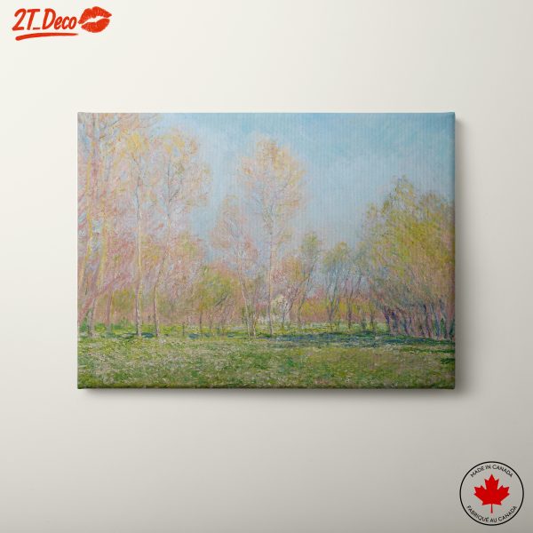 Serene Nature Landscape with Soft Colors