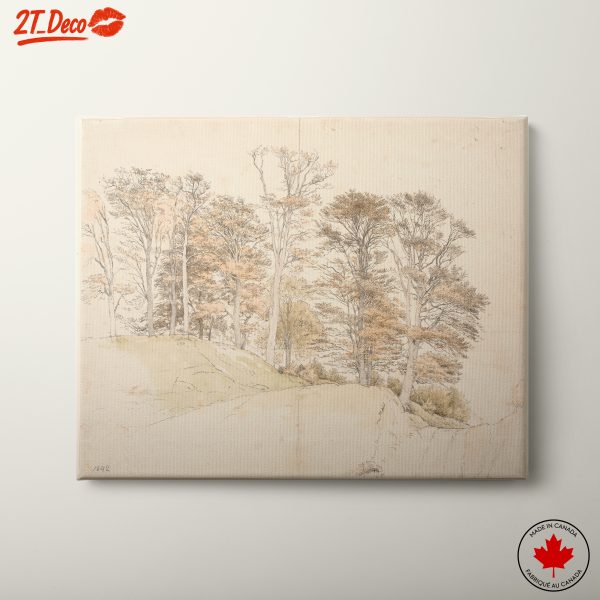 Serene Landscape of Autumn Trees