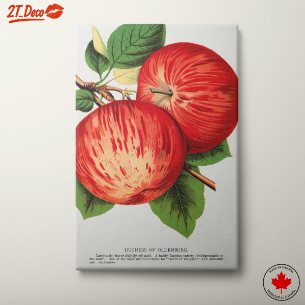 Stylized Apples in Vibrant Colors