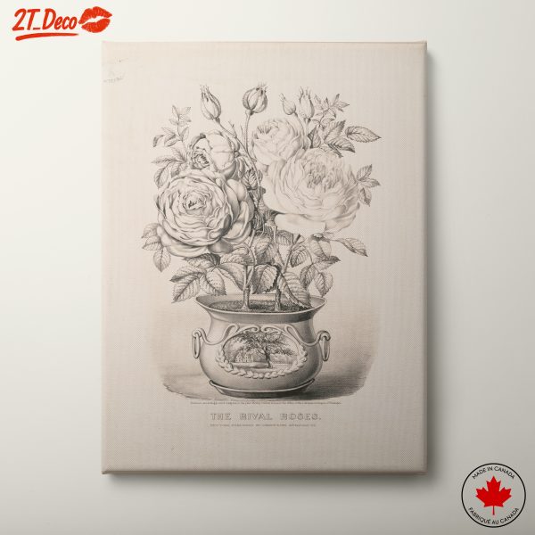 The Rival Roses Botanical Art