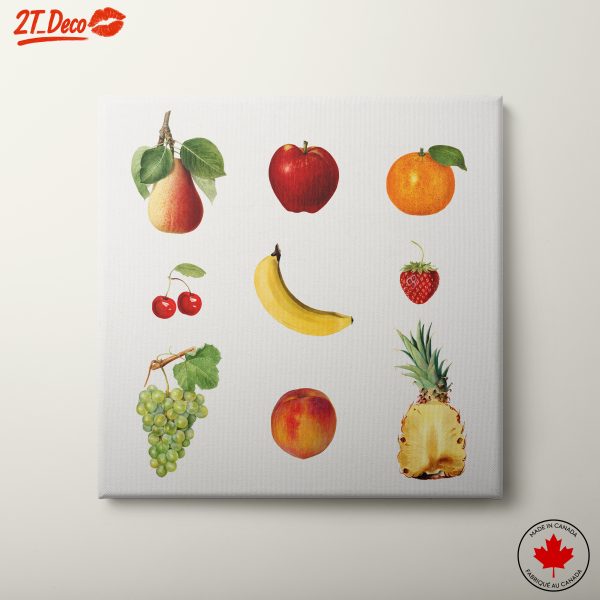 Colorful Abstract Fruit Collection