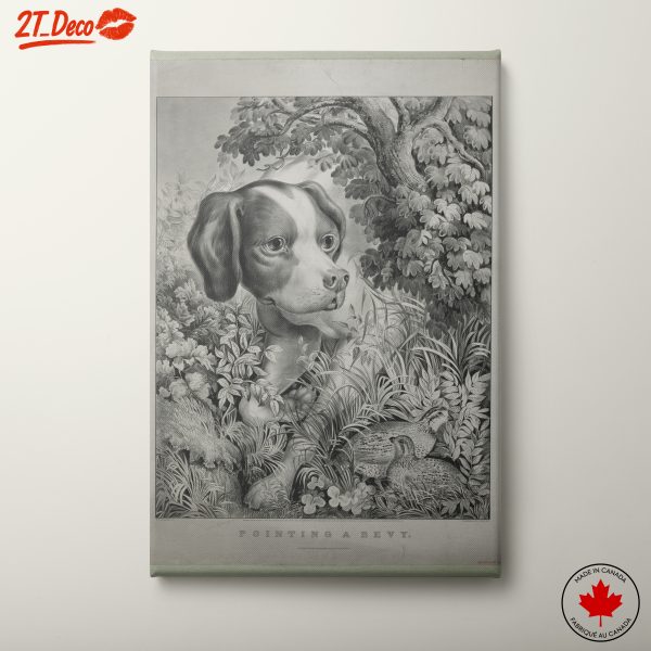 Elegant Dog Portrait in Natural Landscape