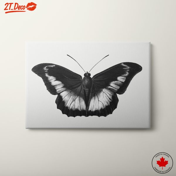 Detailed Black and White Butterfly Art