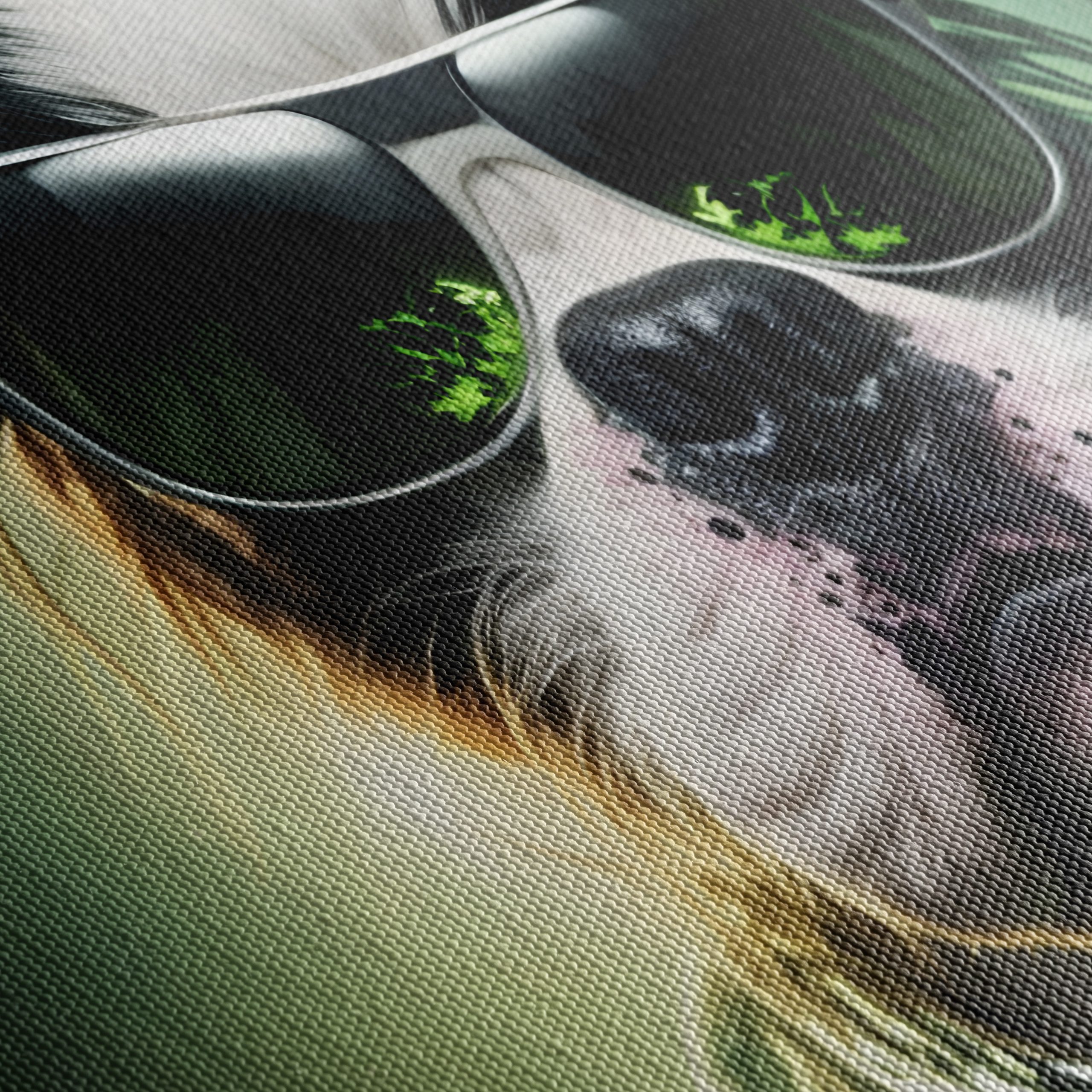 Rock Star Dog Art in Bold Style - Image 5