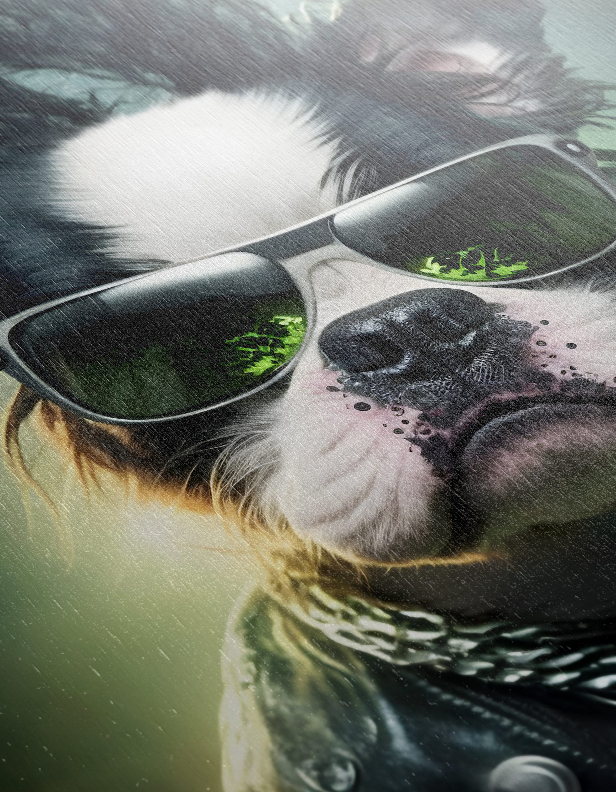 Rock Star Dog Art in Bold Style - Image 12