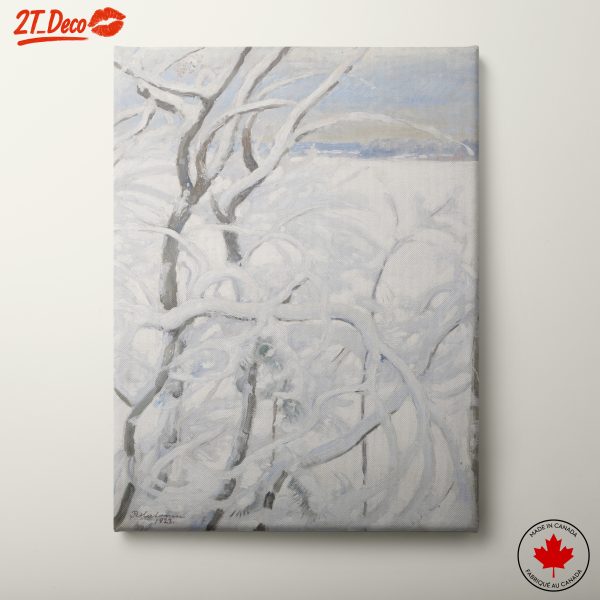 Abstract Winter Landscape with Snowy Branches