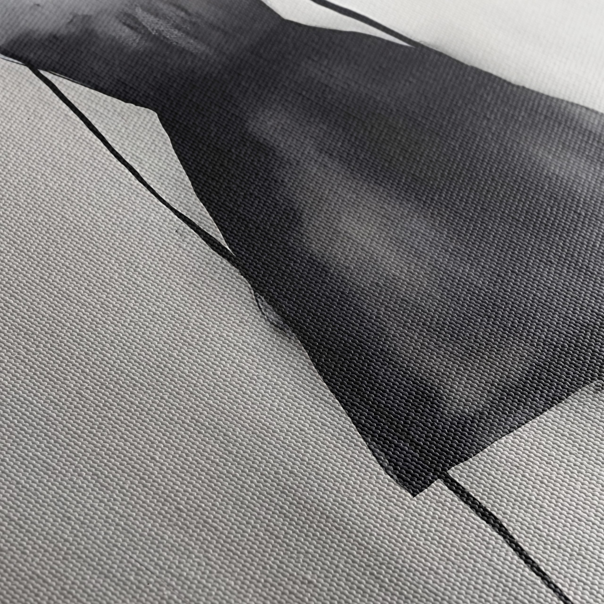 Minimalist Contemporary Portrait in Black and White - Image 5