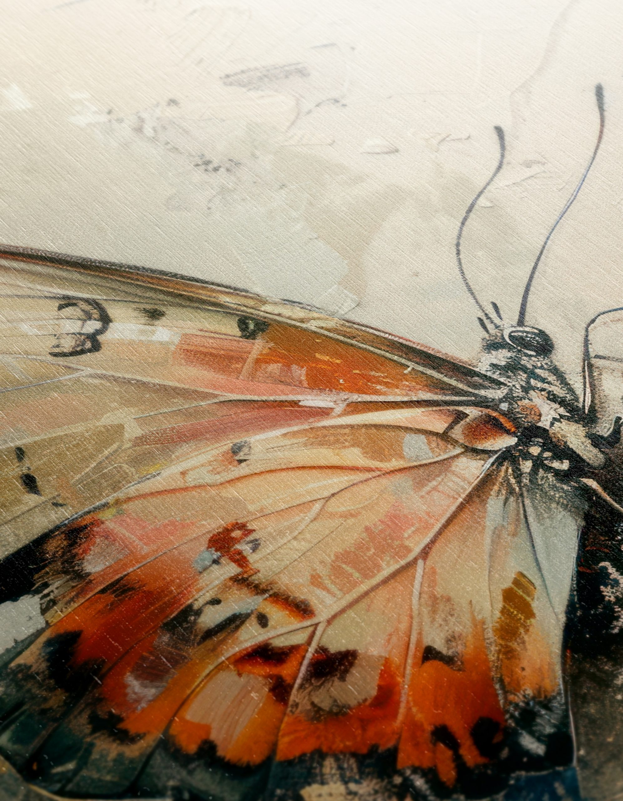 Colorful Butterfly Wall Art - Image 12