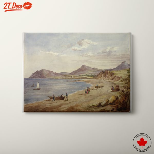 Scenic Coastal Adventure Landscape 2