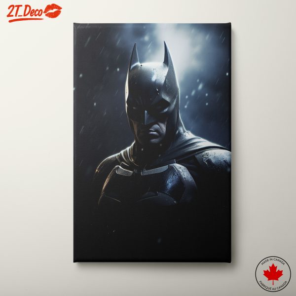Batman Dark Knight Character Art