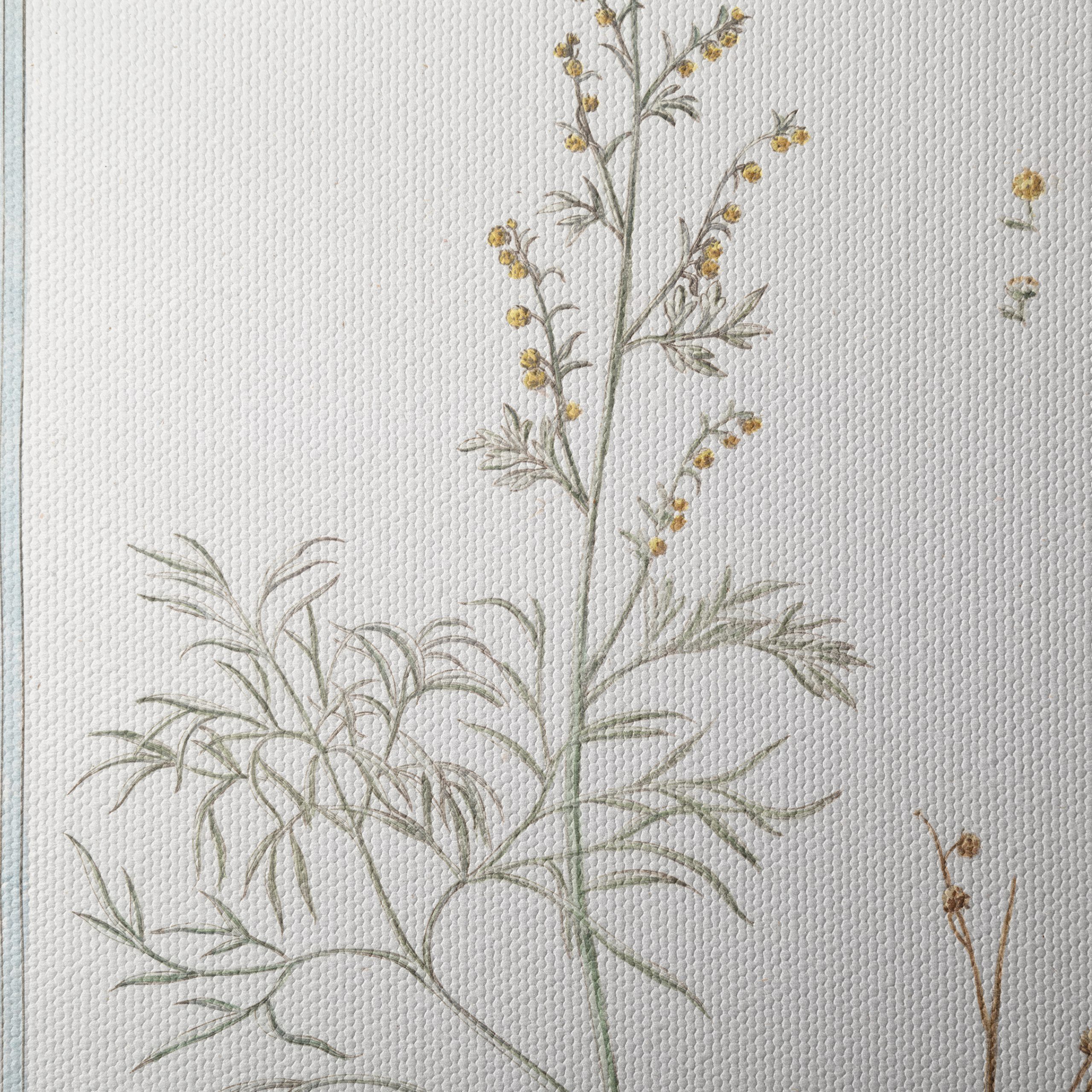 Absinthe Botanical Illustration - Image 4
