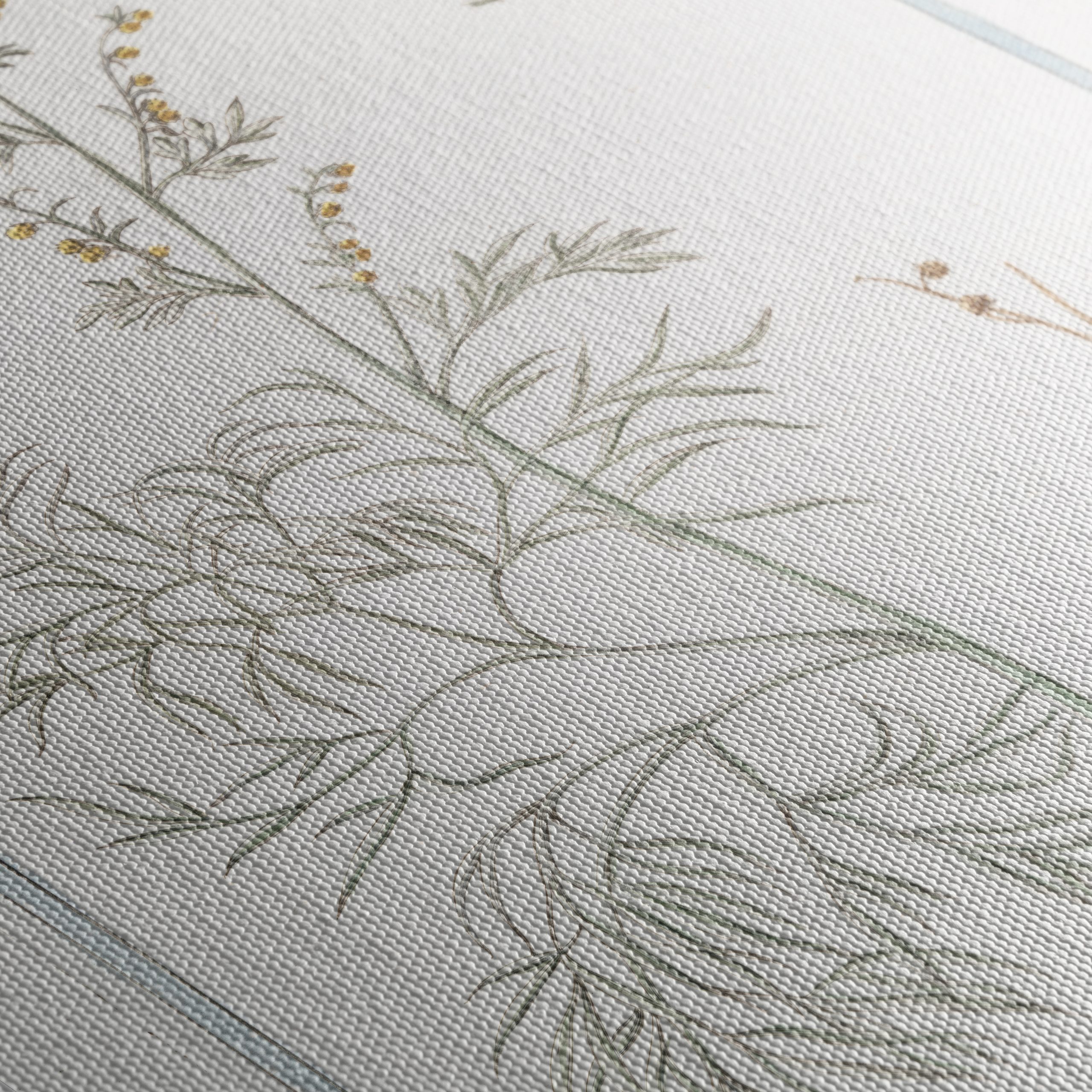 Absinthe Botanical Illustration - Image 5