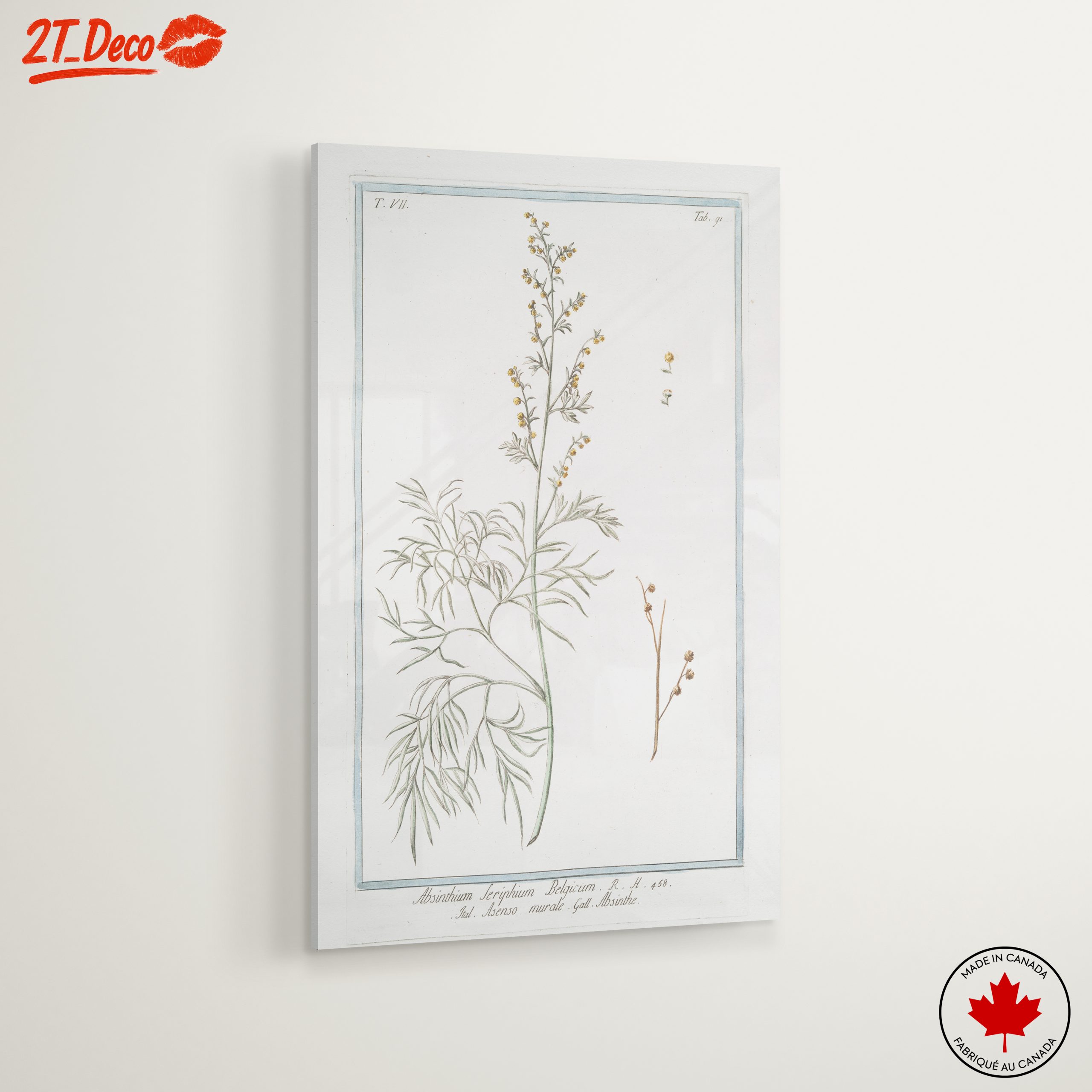 Absinthe Botanical Illustration - Image 6