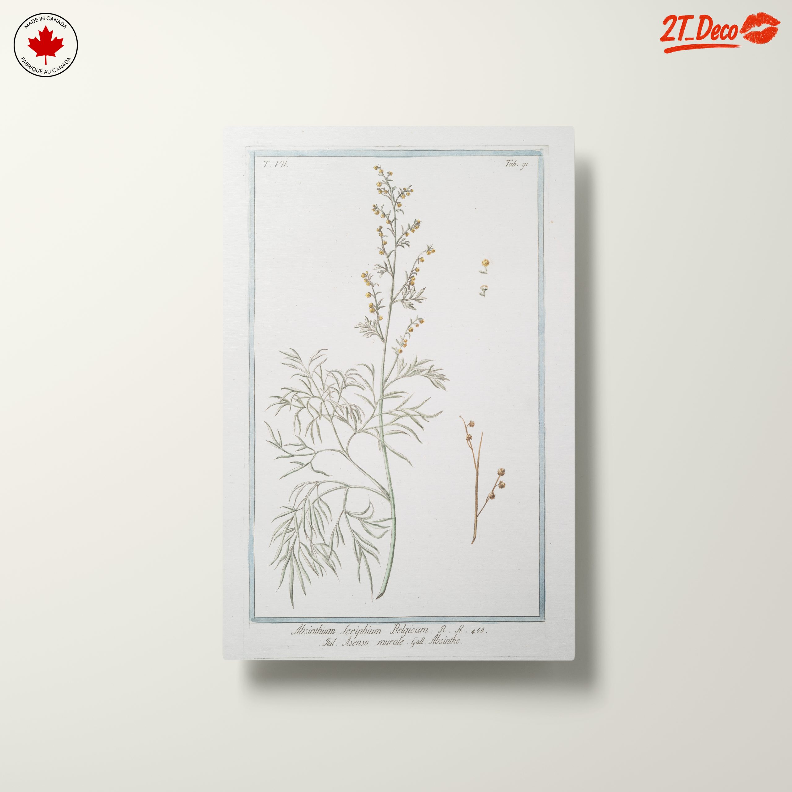 Absinthe Botanical Illustration - Image 10