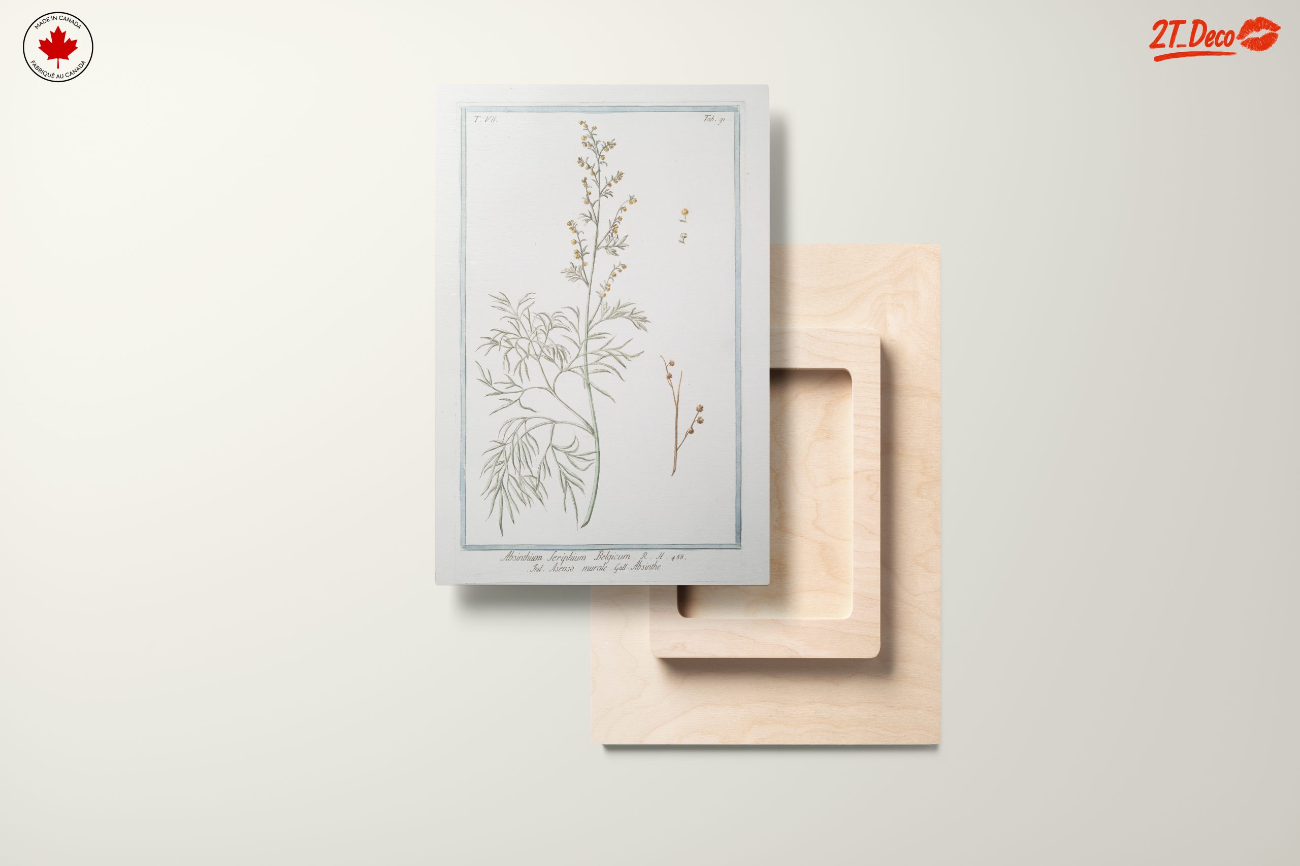 Absinthe Botanical Illustration - Image 11