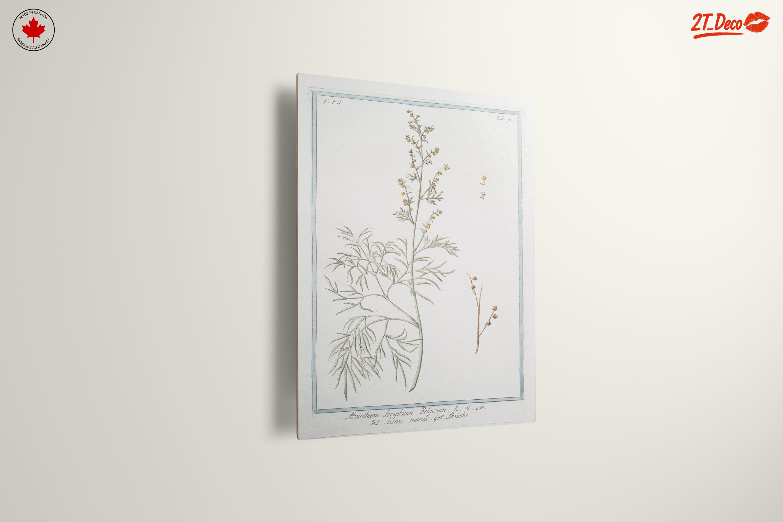 Absinthe Botanical Illustration - Image 13