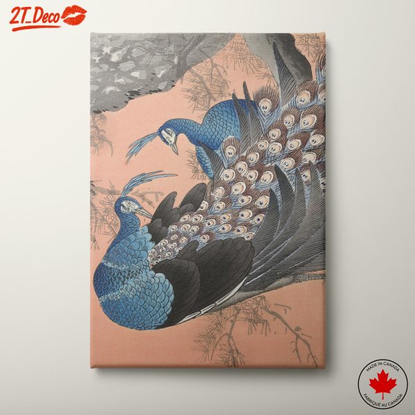 Stylized Peacock Botanical Art