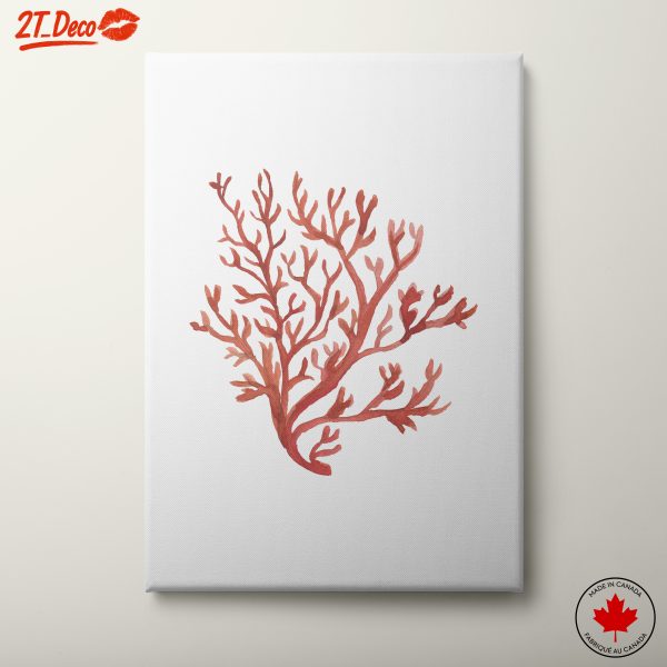 Coral Reef Botanical Art