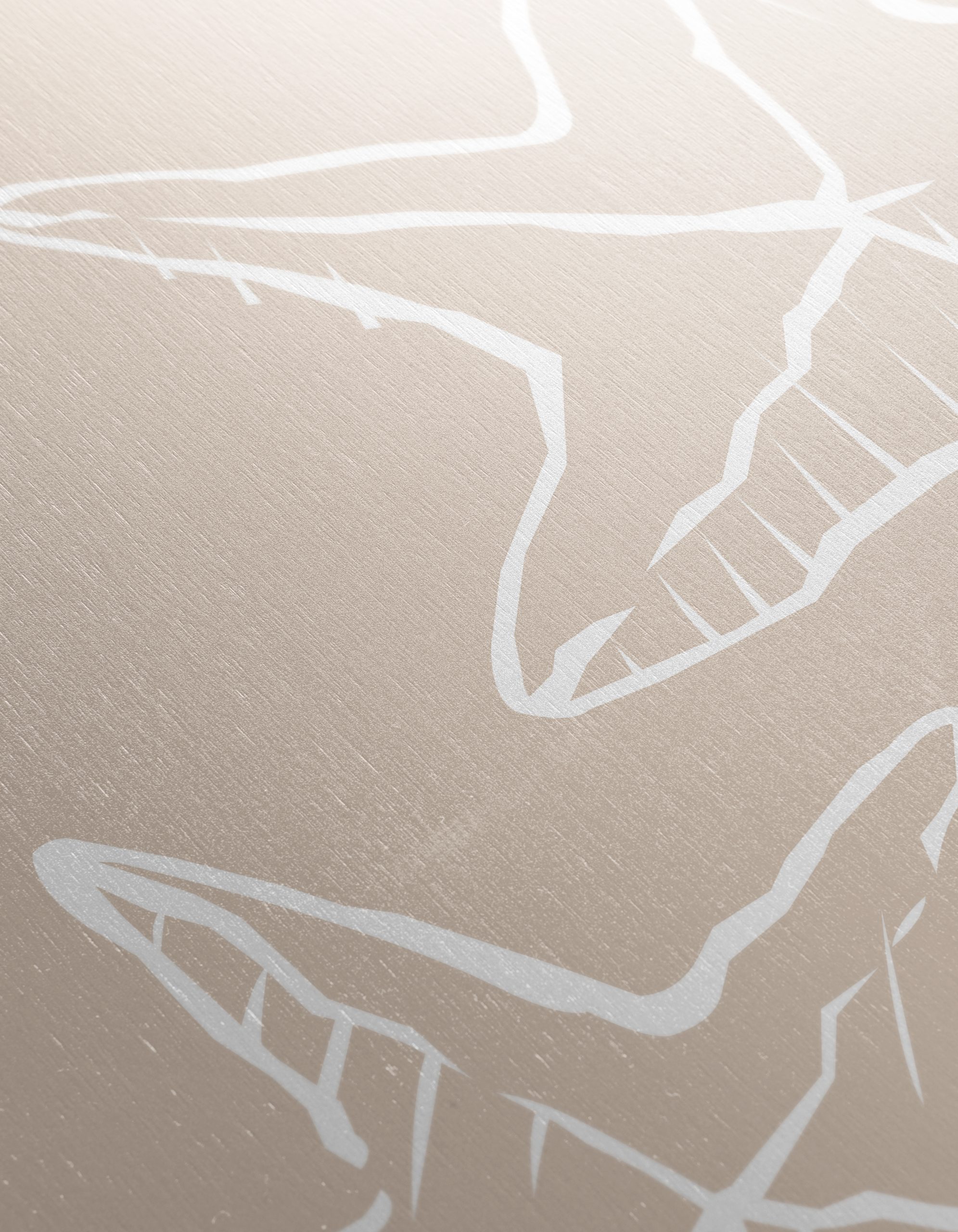 Starfish Minimalist Botanical Artwork - Image 12