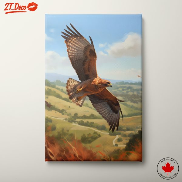 Majestic Hawk Flying Over Scenic Landscape