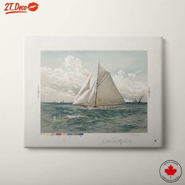 Sailing Boat on Water Under Beautiful Sky